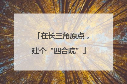 在长三角原点，建个“四合院”