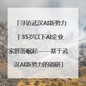 寻访武汉AI新势力︱35岁以下AI企业家群落崛起——基于武汉AI新势力的调研