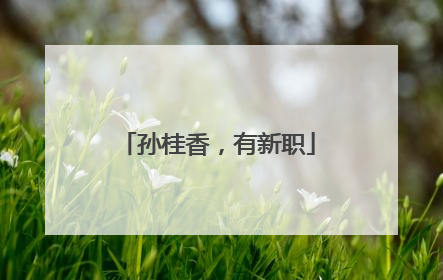 孙桂香，有新职