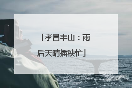孝昌丰山：雨后天晴插秧忙