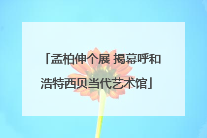 孟柏伸个展 揭幕呼和浩特西贝当代艺术馆