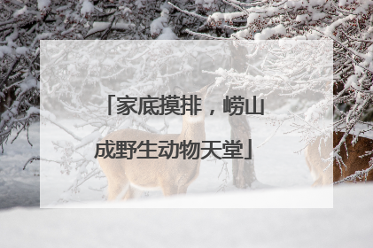 家底摸排，崂山成野生动物天堂