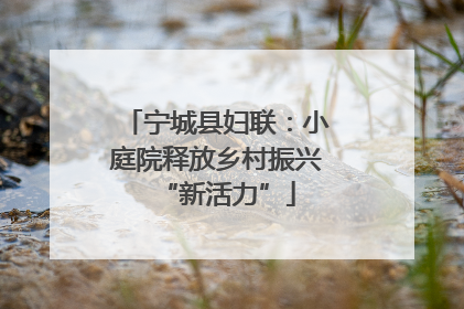 宁城县妇联：小庭院释放乡村振兴“新活力”