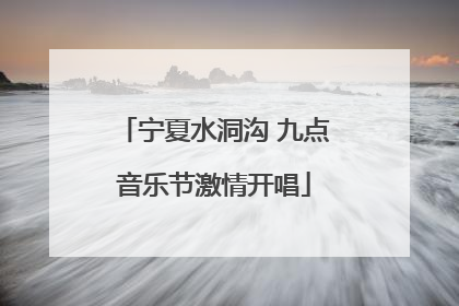 宁夏水洞沟 九点音乐节激情开唱