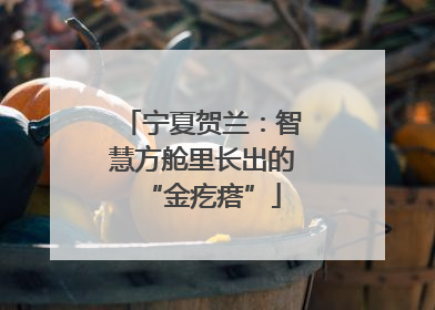 宁夏贺兰：智慧方舱里长出的“金疙瘩”