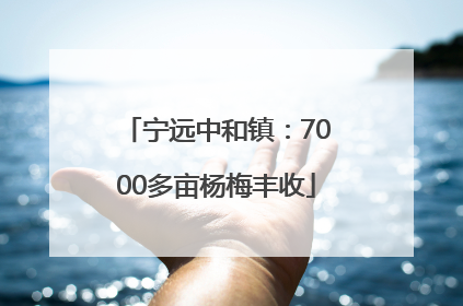 宁远中和镇：7000多亩杨梅丰收