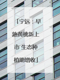 宁远：早熟黄桃新上市 生态种植助增收