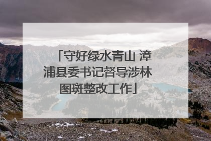 守好绿水青山 漳浦县委书记督导涉林图斑整改工作