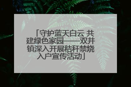 守护蓝天白云 共建绿色家园——双井镇深入开展秸秆禁烧入户宣传活动