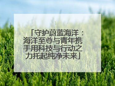 守护蔚蓝海洋：海洋至尊与青年携手用科技与行动之力托起纯净未来