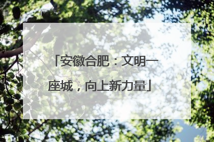 安徽合肥：文明一座城，向上新力量