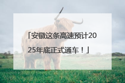 安徽这条高速预计2025年底正式通车！