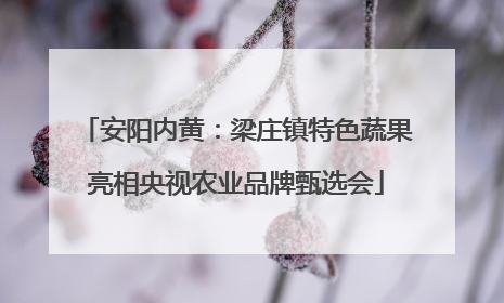 安阳内黄：梁庄镇特色蔬果亮相央视农业品牌甄选会