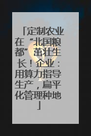 定制农业在“北国粮都”茁壮生长！企业：用算力指导生产，扁平化管理种地