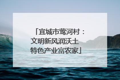 宜城市莺河村：文明新风润沃土 特色产业富农家