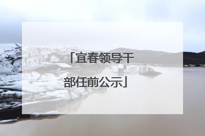 宜春领导干部任前公示