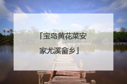 宝岛黄花菜安家尤溪畲乡