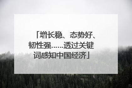 增长稳、态势好、韧性强……透过关键词感知中国经济