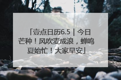 壹点日历6.5｜今日芒种！风吹麦成浪，蝉鸣夏始忙！大家早安
