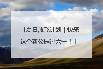 夏日放飞计划｜快来这个新公园过六一！