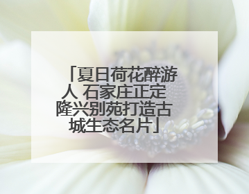 夏日荷花醉游人 石家庄正定隆兴别苑打造古城生态名片
