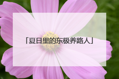 夏日里的东极养路人
