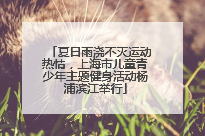 夏日雨浇不灭运动热情，上海市儿童青少年主题健身活动杨浦滨江举行