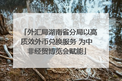 外汇局湖南省分局以高质效外币兑换服务 为中非经贸博览会赋能