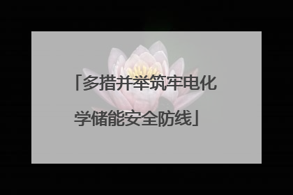 多措并举筑牢电化学储能安全防线