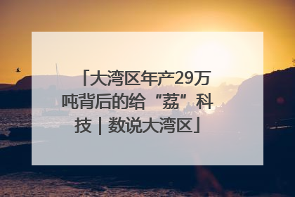 大湾区年产29万吨背后的给“荔”科技｜数说大湾区