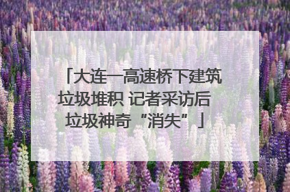 大连一高速桥下建筑垃圾堆积 记者采访后垃圾神奇“消失”