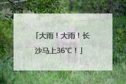 大雨！大雨！长沙马上36℃！