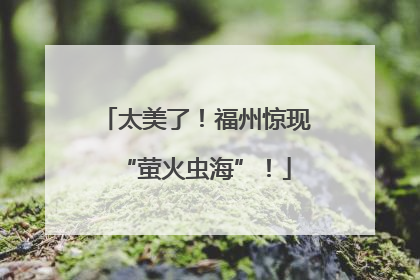 太美了！福州惊现“萤火虫海”！