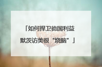 如何捍卫德国利益 默茨访美很“烧脑”