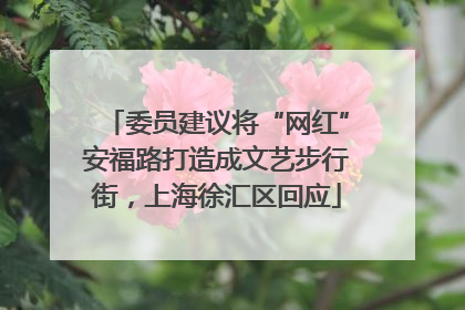 委员建议将“网红”安福路打造成文艺步行街，上海徐汇区回应