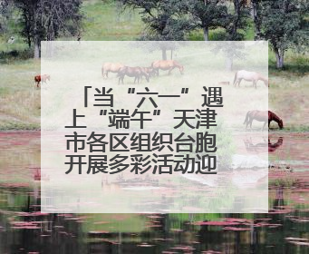 当“六一”遇上“端午”天津市各区组织台胞开展多彩活动迎庆佳节