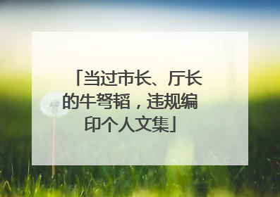 当过市长、厅长的牛弩韬，违规编印个人文集