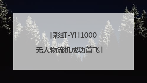 彩虹-YH1000无人物流机成功首飞