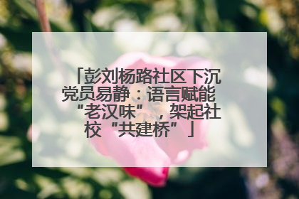彭刘杨路社区下沉党员易静：语言赋能“老汉味”，架起社校“共建桥”