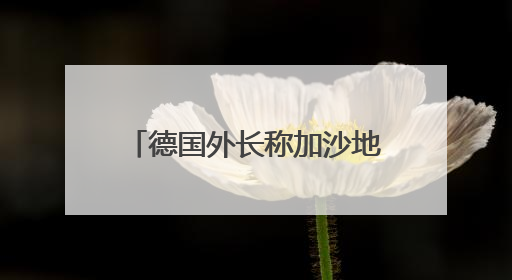 德国外长称加沙地带局势“令人难以忍受”！反对美国接管加沙地带的想法