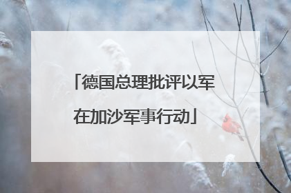 德国总理批评以军在加沙军事行动
