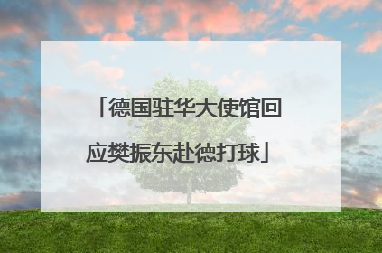 德国驻华大使馆回应樊振东赴德打球