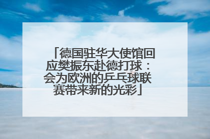 德国驻华大使馆回应樊振东赴德打球：会为欧洲的乒乓球联赛带来新的光彩