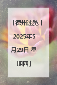 德州速览丨2025年5月29日 星期四