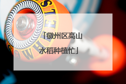 徽州区高山水稻种植忙