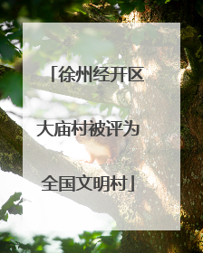 徐州经开区大庙村被评为全国文明村