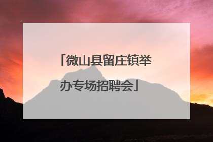 微山县留庄镇举办专场招聘会
