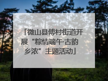 微山县傅村街道开展“粽情端午·古韵乡浓”主题活动