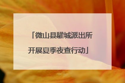 微山县驩城派出所开展夏季夜查行动