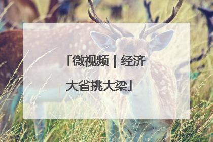 微视频｜经济大省挑大梁
